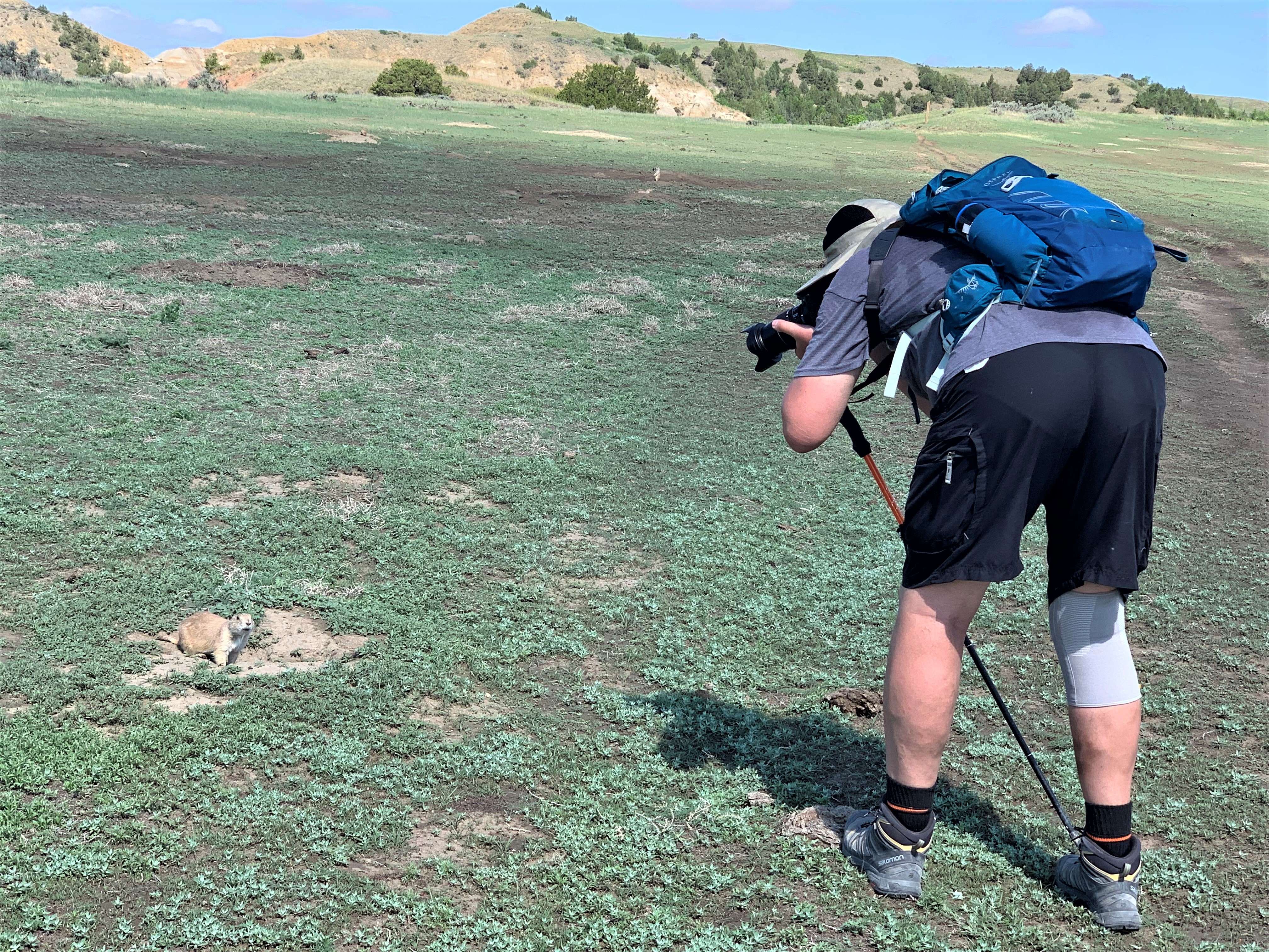 Theodore Roosevelt NP